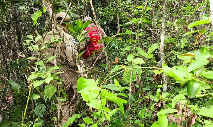 Em Paranatinga Bombeiros realizam buscas por criança indígena de um ano e oito meses desaparecida há três dias em área de mata